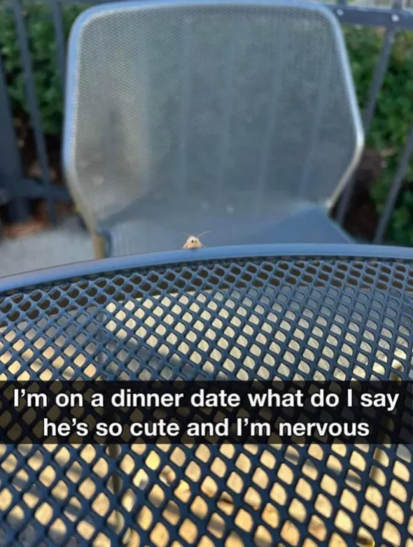 Screenshot 2025-07-06 173622.png